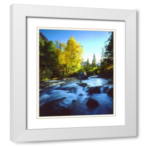 CA, Sierra Nevada, Autumn along a stream White Modern Wood Framed Art Print with Double Matting by Talbot Frank, Christopher