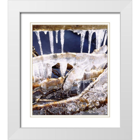California, Sierra Nevada, Icicles in the Sierra White Modern Wood Framed Art Print with Double Matting by Talbot Frank, Christopher