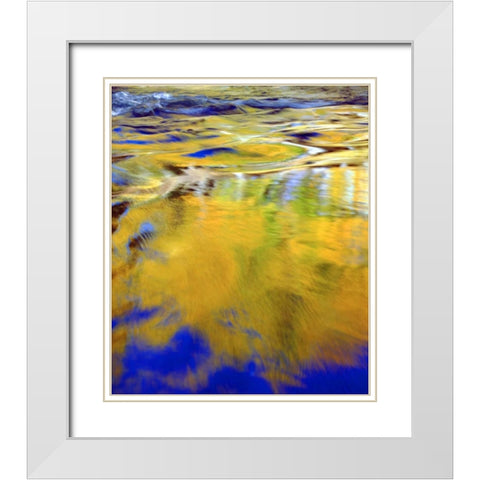 CA, Sierra Nevada, Autumn Forest Reflection White Modern Wood Framed Art Print with Double Matting by Talbot Frank, Christopher