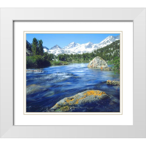 CA, Sierra Nevada Lichen covered rock in a creek White Modern Wood Framed Art Print with Double Matting by Talbot Frank, Christopher