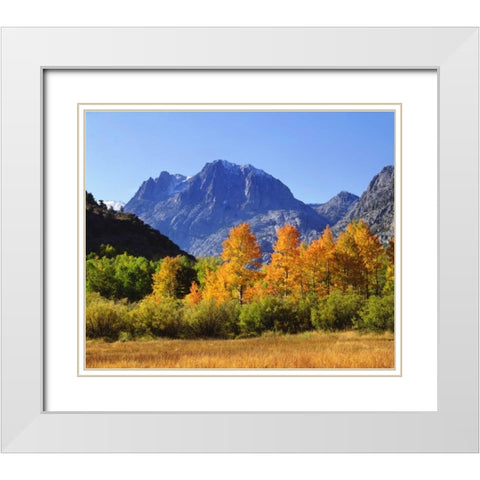 California, Autumn in the Sierra Nevada Mts White Modern Wood Framed Art Print with Double Matting by Talbot Frank, Christopher