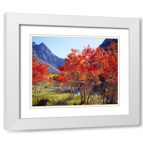 CA, Sierra Nevada Autumn in the Sierras White Modern Wood Framed Art Print with Double Matting by Talbot Frank, Christopher