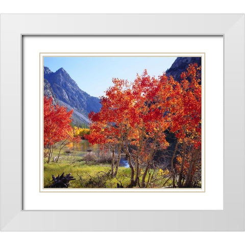 CA, Sierra Nevada Autumn in the Sierras White Modern Wood Framed Art Print with Double Matting by Talbot Frank, Christopher
