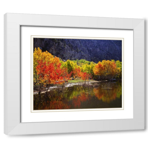 California, Sierra Nevada Autumn in the Sierras White Modern Wood Framed Art Print with Double Matting by Talbot Frank, Christopher