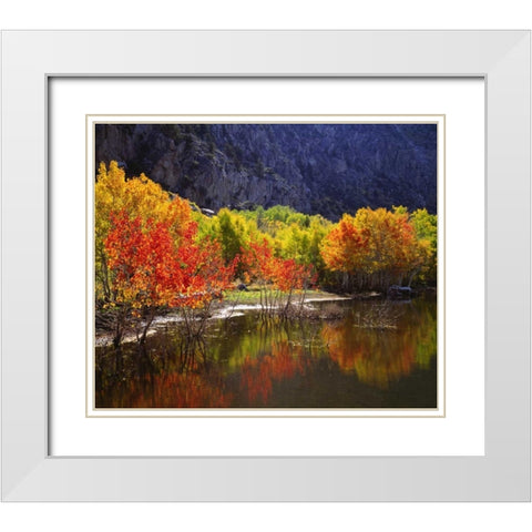 California, Sierra Nevada Autumn in the Sierras White Modern Wood Framed Art Print with Double Matting by Talbot Frank, Christopher