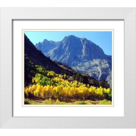 California, Sierra Nevada Autumn in the Sierras White Modern Wood Framed Art Print with Double Matting by Talbot Frank, Christopher