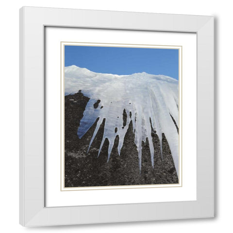 California, Sierra Nevada Icicles in the Sierra White Modern Wood Framed Art Print with Double Matting by Talbot Frank, Christopher