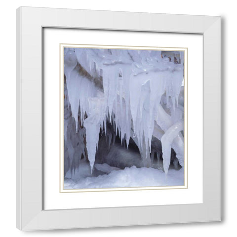 California, Sierra Nevada Icicles in the Sierra White Modern Wood Framed Art Print with Double Matting by Talbot Frank, Christopher