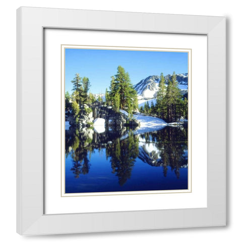 CA, Sierra Nevada Red firs reflecting in a tarn White Modern Wood Framed Art Print with Double Matting by Talbot Frank, Christopher