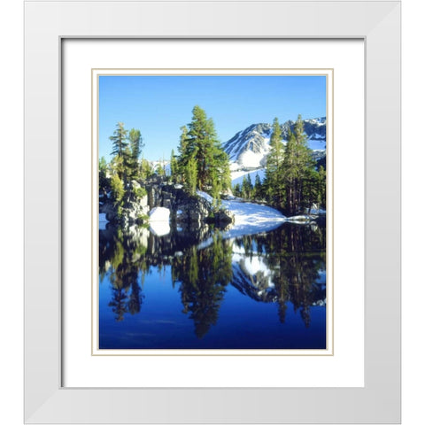 CA, Sierra Nevada Red firs reflecting in a tarn White Modern Wood Framed Art Print with Double Matting by Talbot Frank, Christopher