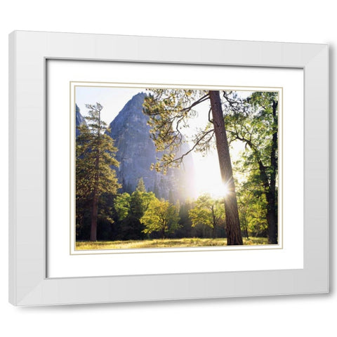 California, Yosemite Sunset through the forest White Modern Wood Framed Art Print with Double Matting by Talbot Frank, Christopher
