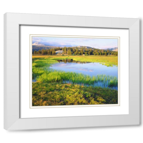 CA, Yosemite The Tuolumne River in the Meadow White Modern Wood Framed Art Print with Double Matting by Talbot Frank, Christopher
