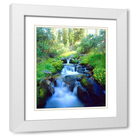 California Sky Meadows in the Sierra Nevada Mts White Modern Wood Framed Art Print with Double Matting by Talbot Frank, Christopher