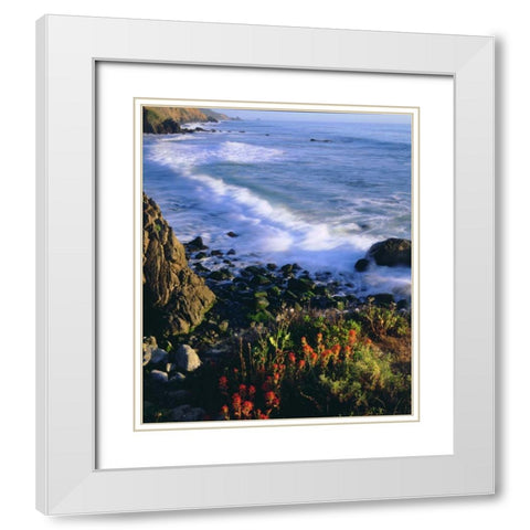 USA, Wildflowers along the California Coast White Modern Wood Framed Art Print with Double Matting by Talbot Frank, Christopher