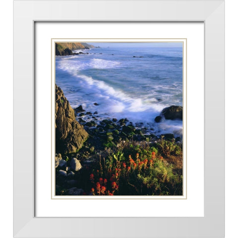 USA, Wildflowers along the California Coast White Modern Wood Framed Art Print with Double Matting by Talbot Frank, Christopher