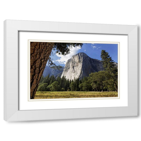 California, Yosemite View of El Capitan landmark White Modern Wood Framed Art Print with Double Matting by Flaherty, Dennis