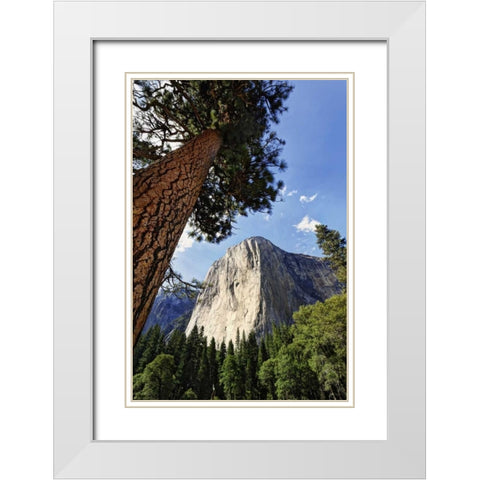 California, Yosemite View of El Capitan landmark White Modern Wood Framed Art Print with Double Matting by Flaherty, Dennis