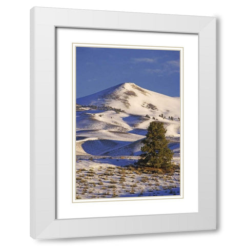 CA, Mammoth Lakes Landscape of Glass Mountain White Modern Wood Framed Art Print with Double Matting by Flaherty, Dennis