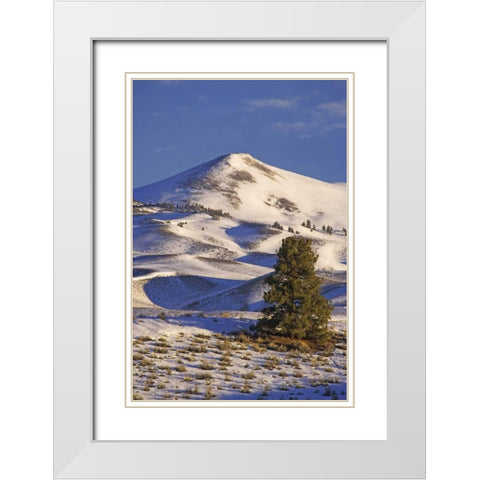 CA, Mammoth Lakes Landscape of Glass Mountain White Modern Wood Framed Art Print with Double Matting by Flaherty, Dennis