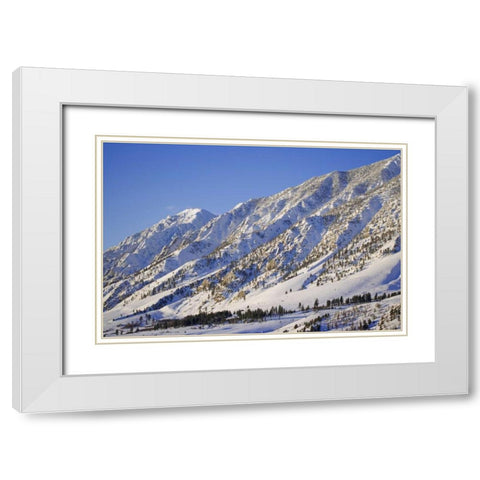 CA, Wheeler Crest in the Sierra Nevada White Modern Wood Framed Art Print with Double Matting by Flaherty, Dennis