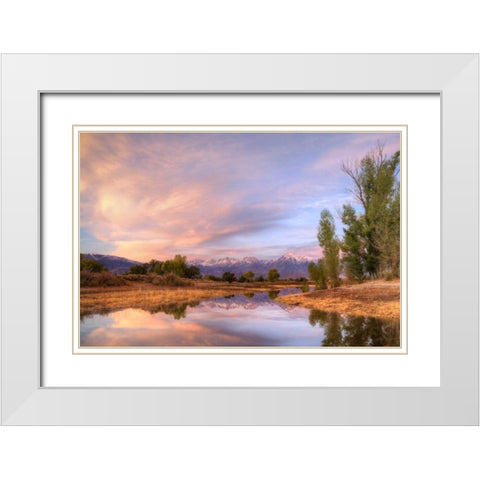 California, Bishop Sierra Mts from Farmers Pond White Modern Wood Framed Art Print with Double Matting by Flaherty, Dennis