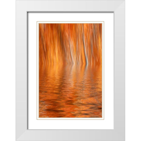 CA, Grant Lake Abstract of autumn aspen trees White Modern Wood Framed Art Print with Double Matting by Flaherty, Dennis