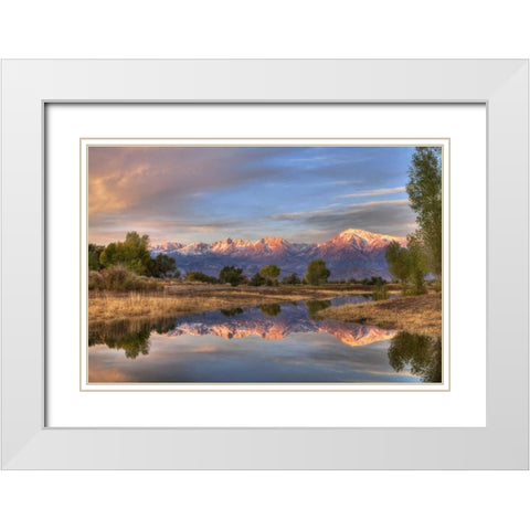 California, Bishop Sierra Mts from Farmers Pond White Modern Wood Framed Art Print with Double Matting by Flaherty, Dennis