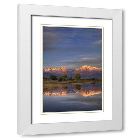 California, Bishop Sierra Mts from Farmers Pond White Modern Wood Framed Art Print with Double Matting by Flaherty, Dennis