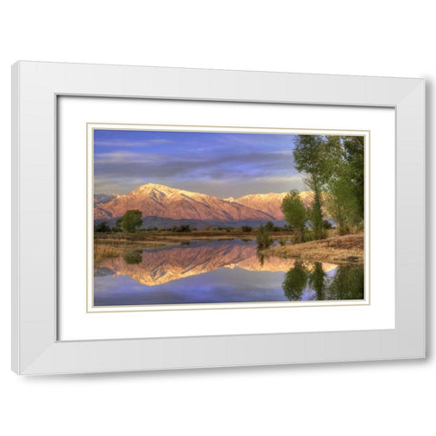 CA, Bishop Reflection of Mt Tom in Farmers Pond White Modern Wood Framed Art Print with Double Matting by Flaherty, Dennis