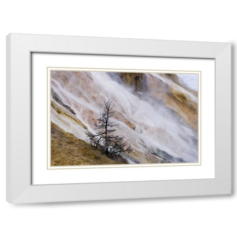 Wyoming Mammoth Hot Springs waterfall White Modern Wood Framed Art Print with Double Matting by Bush, Marie
