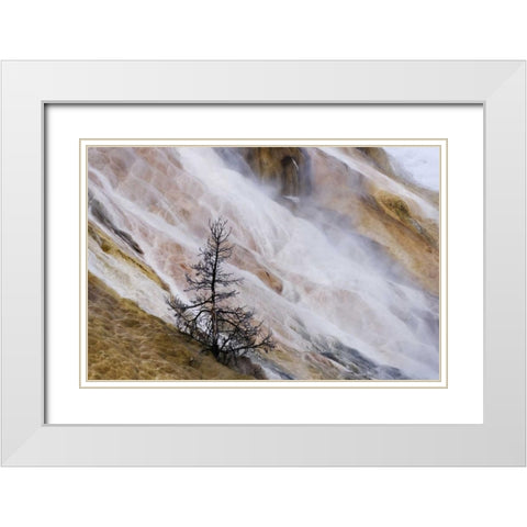 Wyoming Mammoth Hot Springs waterfall White Modern Wood Framed Art Print with Double Matting by Bush, Marie