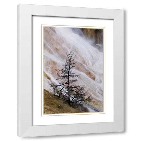 Wyoming Mammoth Hot Springs waterfall White Modern Wood Framed Art Print with Double Matting by Bush, Marie