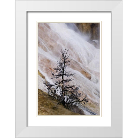 Wyoming Mammoth Hot Springs waterfall White Modern Wood Framed Art Print with Double Matting by Bush, Marie