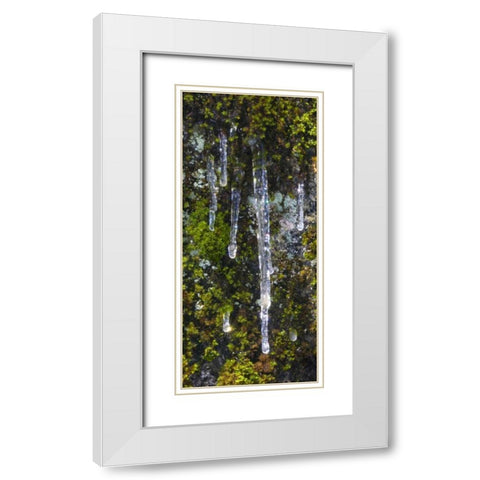 USA, California, Yosemite NP Icicles on moss White Modern Wood Framed Art Print with Double Matting by Bush, Marie