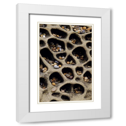 California Pebbles collected in rock cavities White Modern Wood Framed Art Print with Double Matting by Bush, Marie