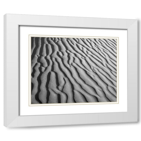 California, Death Valley NP Sand dune patterns White Modern Wood Framed Art Print with Double Matting by Flaherty, Dennis