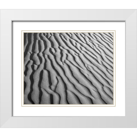California, Death Valley NP Sand dune patterns White Modern Wood Framed Art Print with Double Matting by Flaherty, Dennis