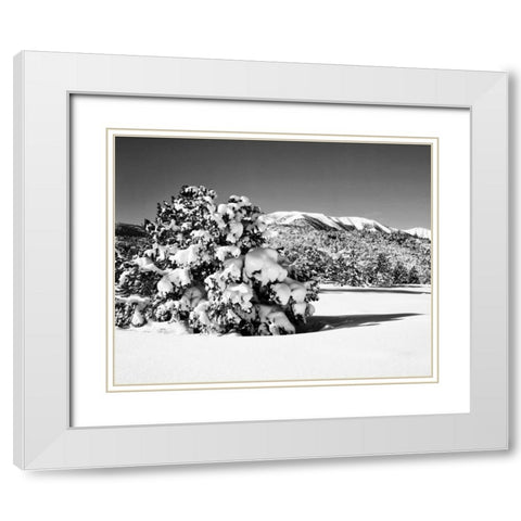 CA, Sierra Nevada Morning on winter landscape White Modern Wood Framed Art Print with Double Matting by Flaherty, Dennis