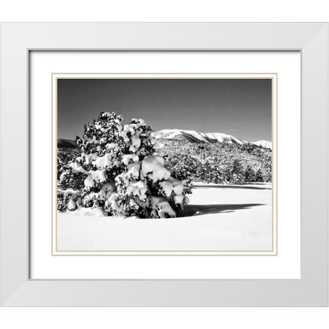 CA, Sierra Nevada Morning on winter landscape White Modern Wood Framed Art Print with Double Matting by Flaherty, Dennis