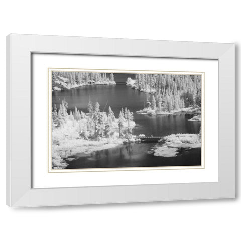 CA, Mammoth Lakes Basin Aerial of Twin Lakes White Modern Wood Framed Art Print with Double Matting by Flaherty, Dennis