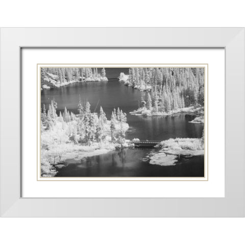 CA, Mammoth Lakes Basin Aerial of Twin Lakes White Modern Wood Framed Art Print with Double Matting by Flaherty, Dennis