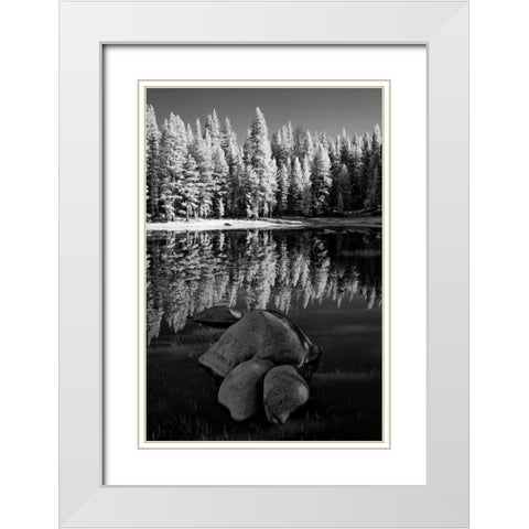 California, Yosemite Forest reflects in a pond White Modern Wood Framed Art Print with Double Matting by Flaherty, Dennis
