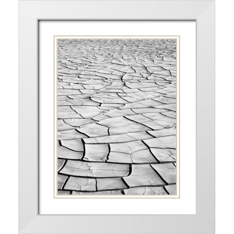 California, Death Valley Patterns in dried mud White Modern Wood Framed Art Print with Double Matting by Flaherty, Dennis