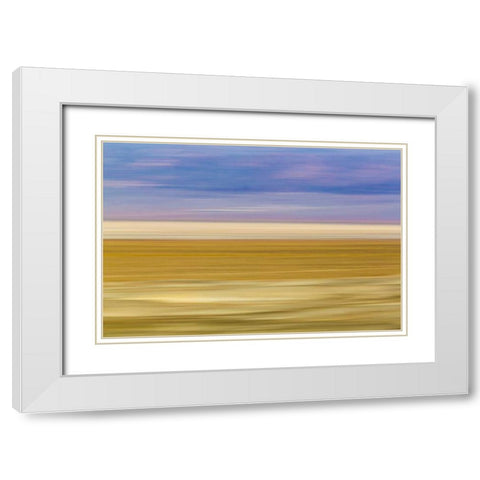 CA, Trona Pinnacles Blurred abstract of desert White Modern Wood Framed Art Print with Double Matting by Paulson, Don