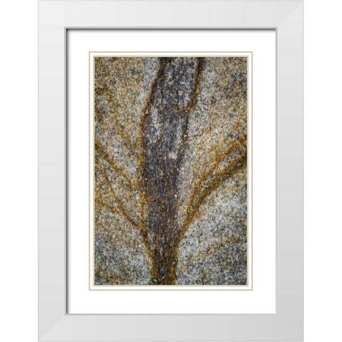 California, Alabama Hills Close-up of rock stain White Modern Wood Framed Art Print with Double Matting by Paulson, Don
