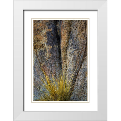 California, Alabama Hills Rock face and grass White Modern Wood Framed Art Print with Double Matting by Paulson, Don