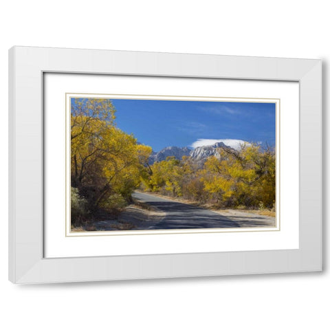 California, Alabama Hills Tuttle Creek Road White Modern Wood Framed Art Print with Double Matting by Paulson, Don