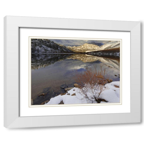 California, Sierra Nevada Spring at North Lake White Modern Wood Framed Art Print with Double Matting by Flaherty, Dennis