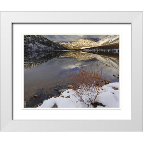 California, Sierra Nevada Spring at North Lake White Modern Wood Framed Art Print with Double Matting by Flaherty, Dennis