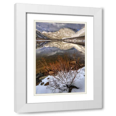 California, Sierra Nevada Spring at North Lake White Modern Wood Framed Art Print with Double Matting by Flaherty, Dennis
